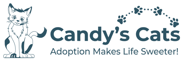 Candy's Cats: Adoption Makes Life Sweeter!