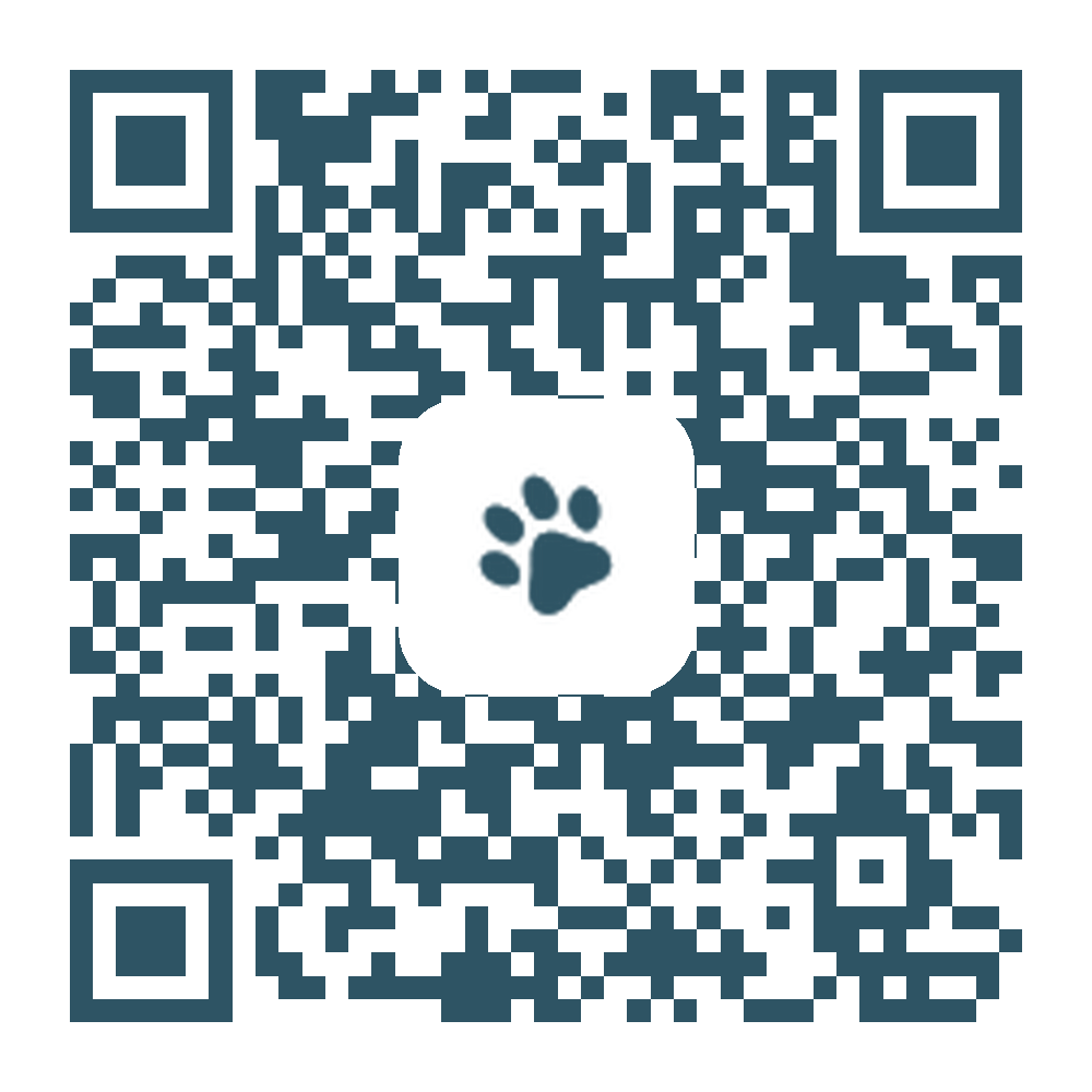 QR code to donate via PayPal