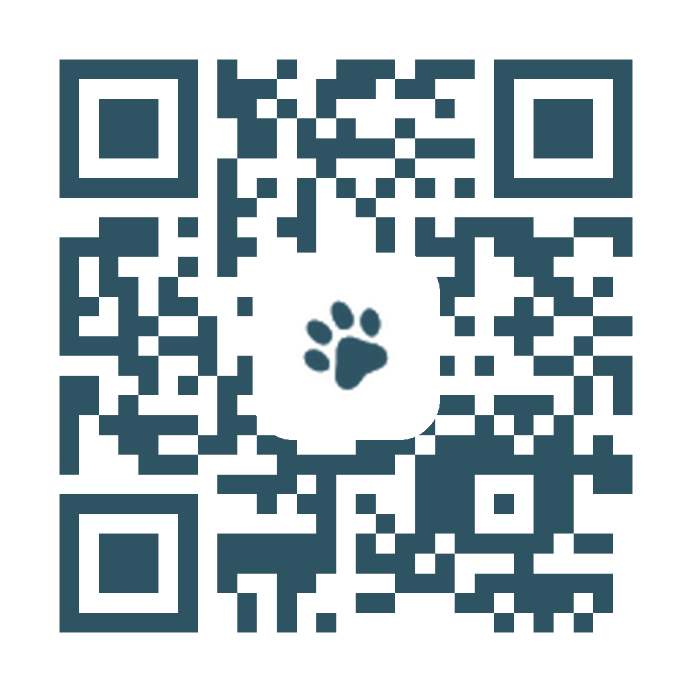 QR code to donate via Zelle